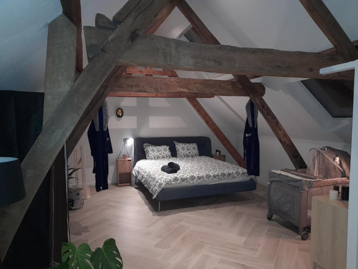 אנטוורפן Suite City Center In Quiet Street & Airco מראה חיצוני תמונה