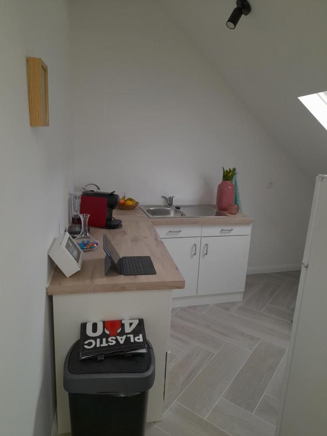 אנטוורפן Suite City Center In Quiet Street & Airco מראה חיצוני תמונה